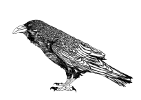 Raven - 1190067493-vector [Converted]